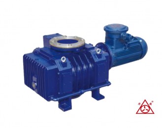 江西JZJFS系列罗茨-耐腐蚀液环真空机组